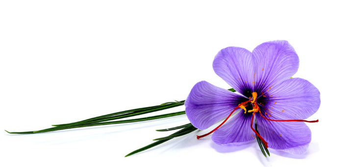 Safran gegen Depressionen?