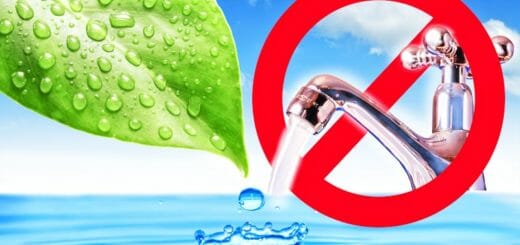 Die fünf besten Tipps gegen Wasserverschwendung