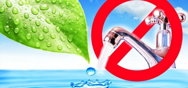 Die fünf besten Tipps gegen Wasserverschwendung