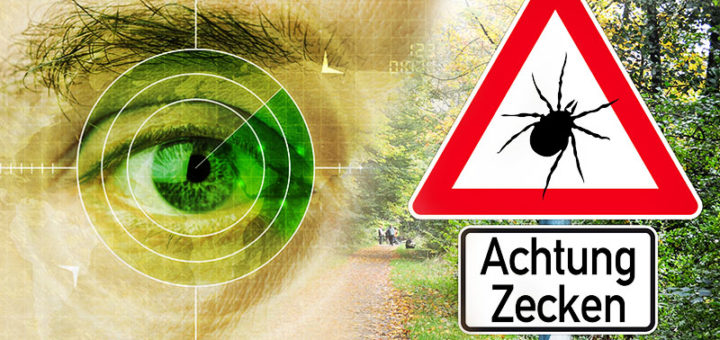 FSME-Erkrankung: Vorsicht vor dem Zeckenstich