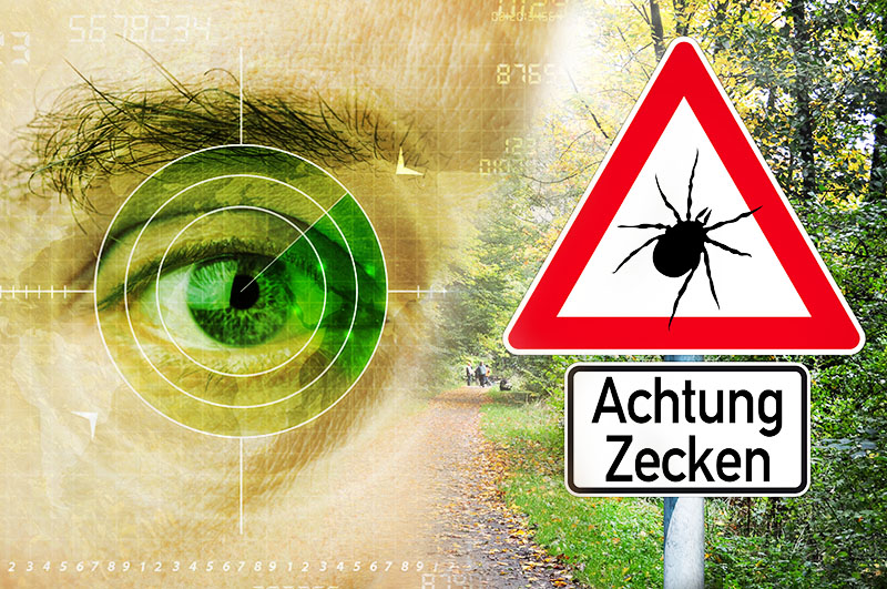 FSME-Erkrankung: Vorsicht vor dem Zeckenstich
