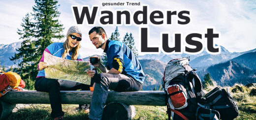 Wanderer in der Natur