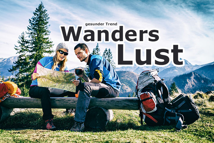 Wanderer in der Natur